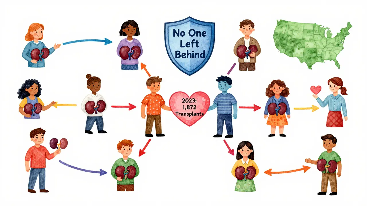 A colorful network of people connected by kidney donations, representing the paired donation program's impact.